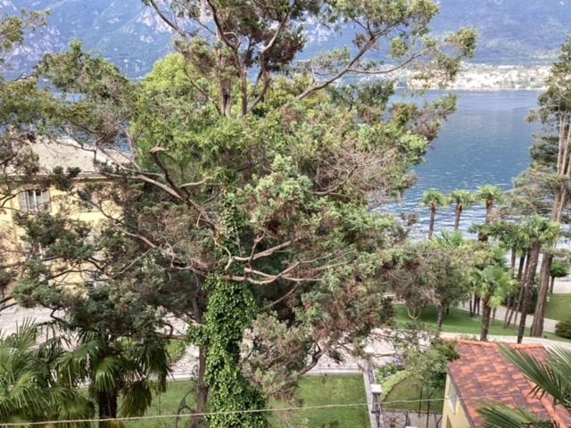 Wonderful Lake Front Appartment Near Bellagio Limonta Exterior photo